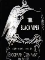 The Black Viper在线观看和下载