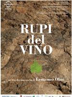 Rupi del vino