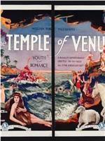 The Temple of Venus在线观看