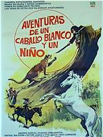 Aventuras de un caballo blanco y un niño