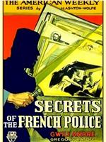 Secrets of the French Police在线观看和下载