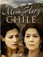 Mein Herz in Chile在线观看