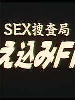 ＳＥＸ捜査局 くわえ込みＦＩＬＥ