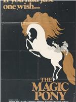 The Magic Pony