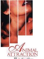 Animal Attraction III