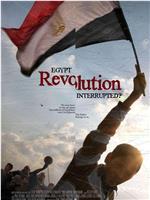 解放广场：埃及未完成革命的18天在线观看