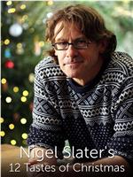 Nigel圣诞的12种味道 第一季在线观看