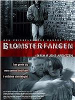 Blomsterfangen在线观看