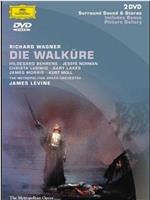 Die Walkure在线观看