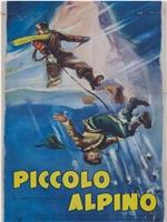 Piccolo alpino