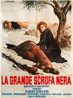 La grande scrofa nera在线观看