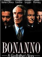 Bonanno: A Godfather's Story在线观看