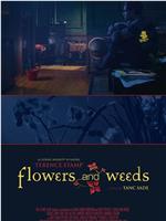 Flowers and Weeds在线观看