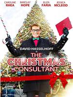 The Christmas Consultant