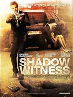 Shadow Witness在线观看