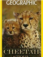 Cheetah Story在线观看