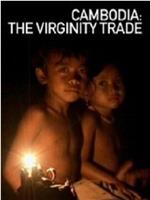 柬埔寨：童贞贸易在线观看