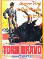 Toro bravo