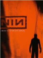 Nine Inch Nails ‎– Live: Beside You In Time在线观看