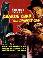 华人侦探陈查理之中国猫在线观看和下载
