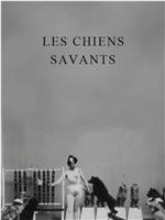 Les chiens savants在线观看