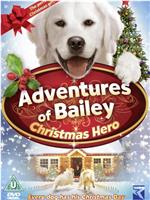 Adventures of Bailey: Christmas Hero在线观看和下载
