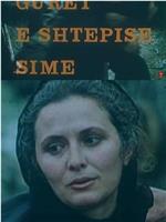 Gurët e shtëpisë sime