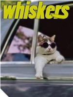 Whiskers在线观看