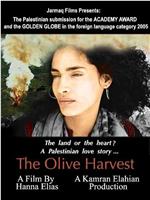 The Olive Harvest在线观看