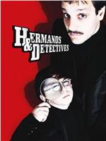 Hermanos y detectives