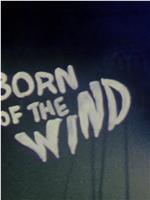 Born of the Wind在线观看