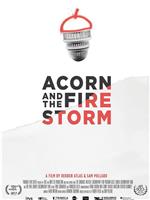 Acorn and the Firestorm在线观看和下载