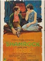 The Shamrock and the Rose在线观看