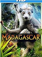 马达加斯加 3D在线观看和下载