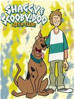 Shaggy &amp; Scooby-Doo: Get a Clue!在线观看