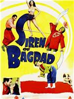 Siren of Bagdad