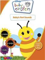 Baby Einstein: Baby's First Sounds在线观看