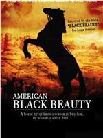 American Black Beauty