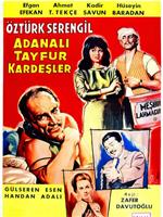 Adanalı Tayfur Kardeşler在线观看和下载