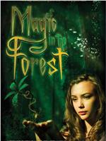 Magic in the Forest