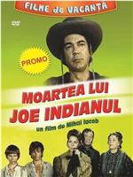 Moartea lui Joe Indianul在线观看