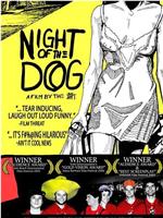 Night of the Dog