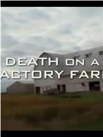 Death on a Factory Farm在线观看和下载