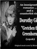 Gretchen the Greenhorn在线观看