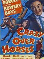 Crazy Over Horses在线观看和下载