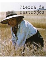 Tierra de rastrojos