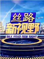 丝路新视野在线观看和下载