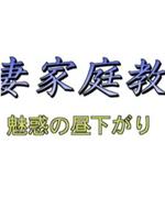 若妻家庭教師 魅惑の昼下がり在线观看