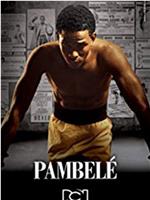 Pambelé Season 1在线观看