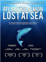 Atlantic Salmon: Lost at Sea在线观看